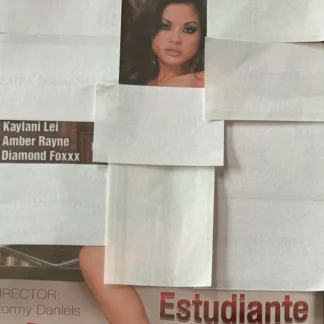 DVD ESTUDIANTE EN INTERNET STORMY DANIELS KAYLANI LEI AMBER RAYNE SEALED SPAIN