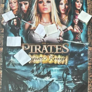 DVD PIRATES STAGNETTI REVENGE RILEY STEELE KATSUNI 4 DISC COLLECTORS SET SEALED AQUITIENESLOQUEBUSCAS.COM