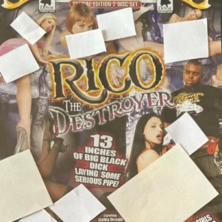 DVD RICO THE DESTROYER ALEXANDER DEVOE ALETTA OCEAN DANA DEARMOND KIERA 2 DISC SEALED AQUITIENESLOQUEBUSCAS.COM