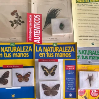 COLECCIÓN LA NATURALEZA EN TUS MANOS CON MUCHOS FASCÍCULOS INSECTOS PLANTAS AQUITIENESLOQUEBUSCAS.COM