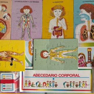 JUEGO DE MESA EL CUERPO HUMANO CON ABECEDARIO CORPORAL CARTAS FICHAS Y PUZZLES AQUITIENESLOQUEBUSCAS.COM