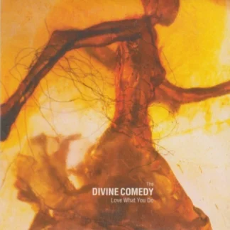 CD THE DIVINE COMEDY LOVE WHAT YOU DO SINGLE SEALED AQUITIENESLOQUEBUSCAS.COM UK