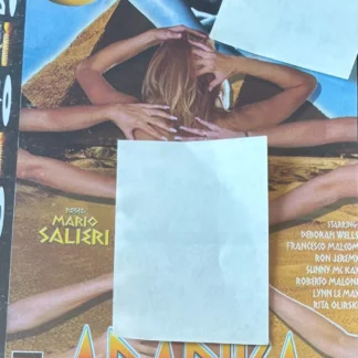 DVD ARABIKA MARIO SALIERI DEBORAH WELLS FRANCESCO MALCOM RON JEREMY SUNNY MC KAY SEALED AQUITIENESLOQUEBUSCAS.COM